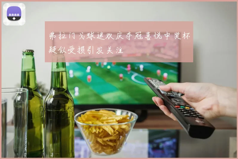 弗拉门戈球迷欢庆夺冠喜悦中奖杯疑似受损引发关注