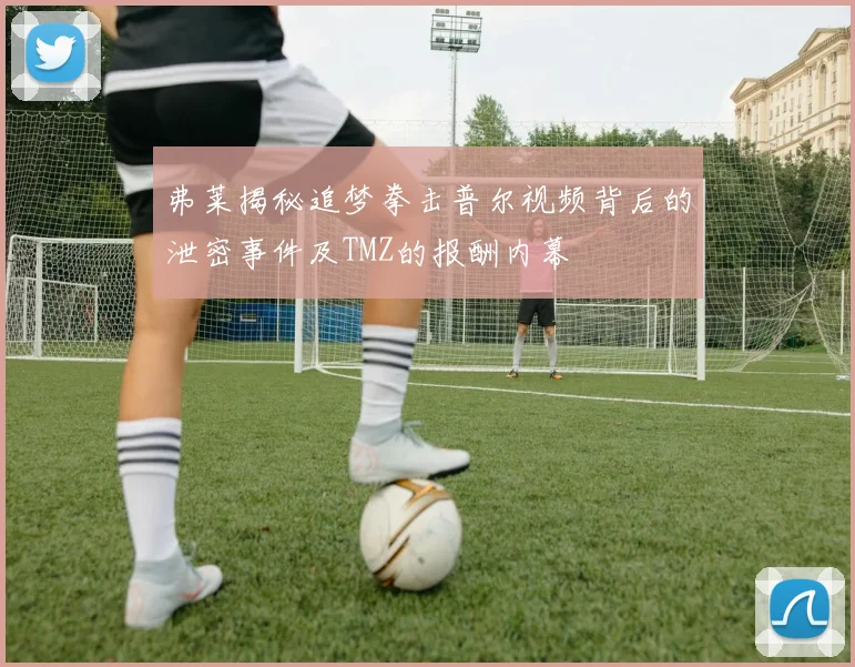 弗莱揭秘追梦拳击普尔视频背后的泄密事件及TMZ的报酬内幕